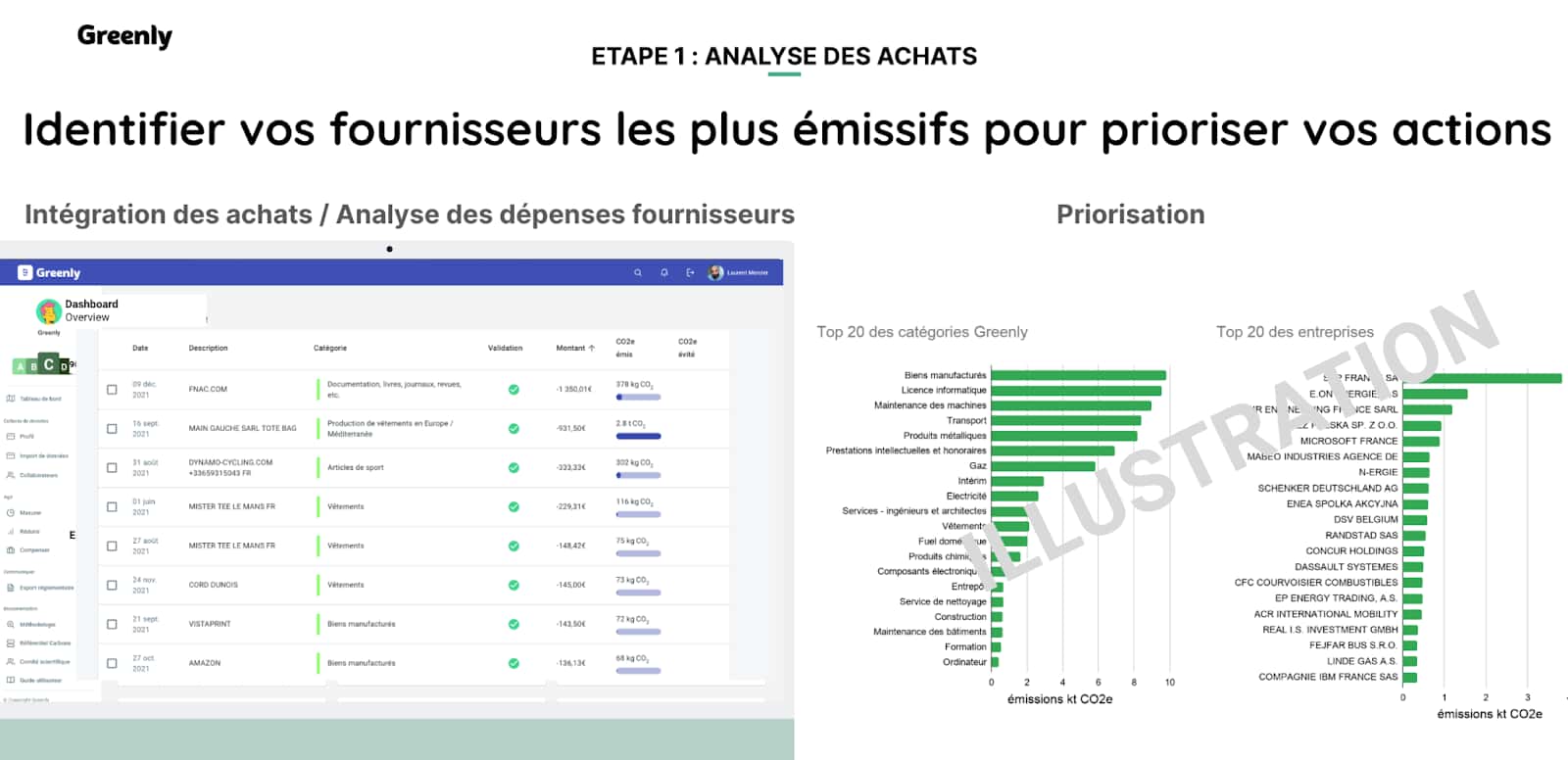 analyse des achats par greenly