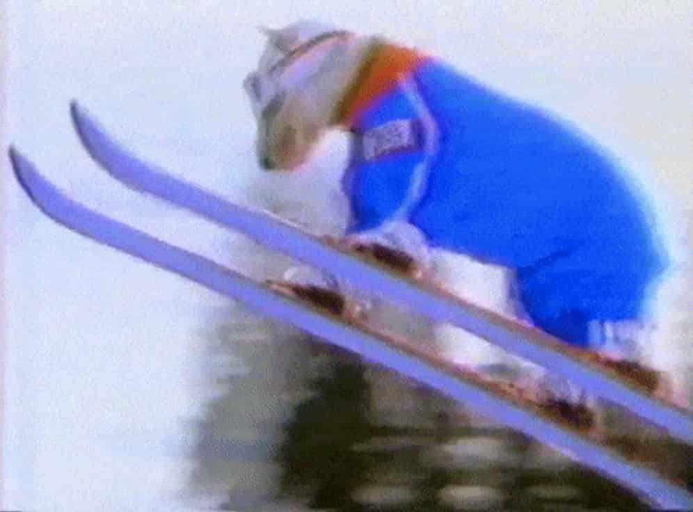 un chien qui fait du ski