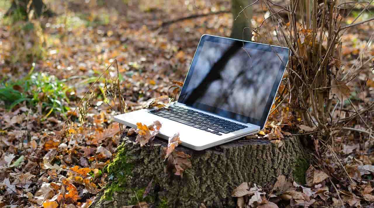 un ordinateur dans la forêt