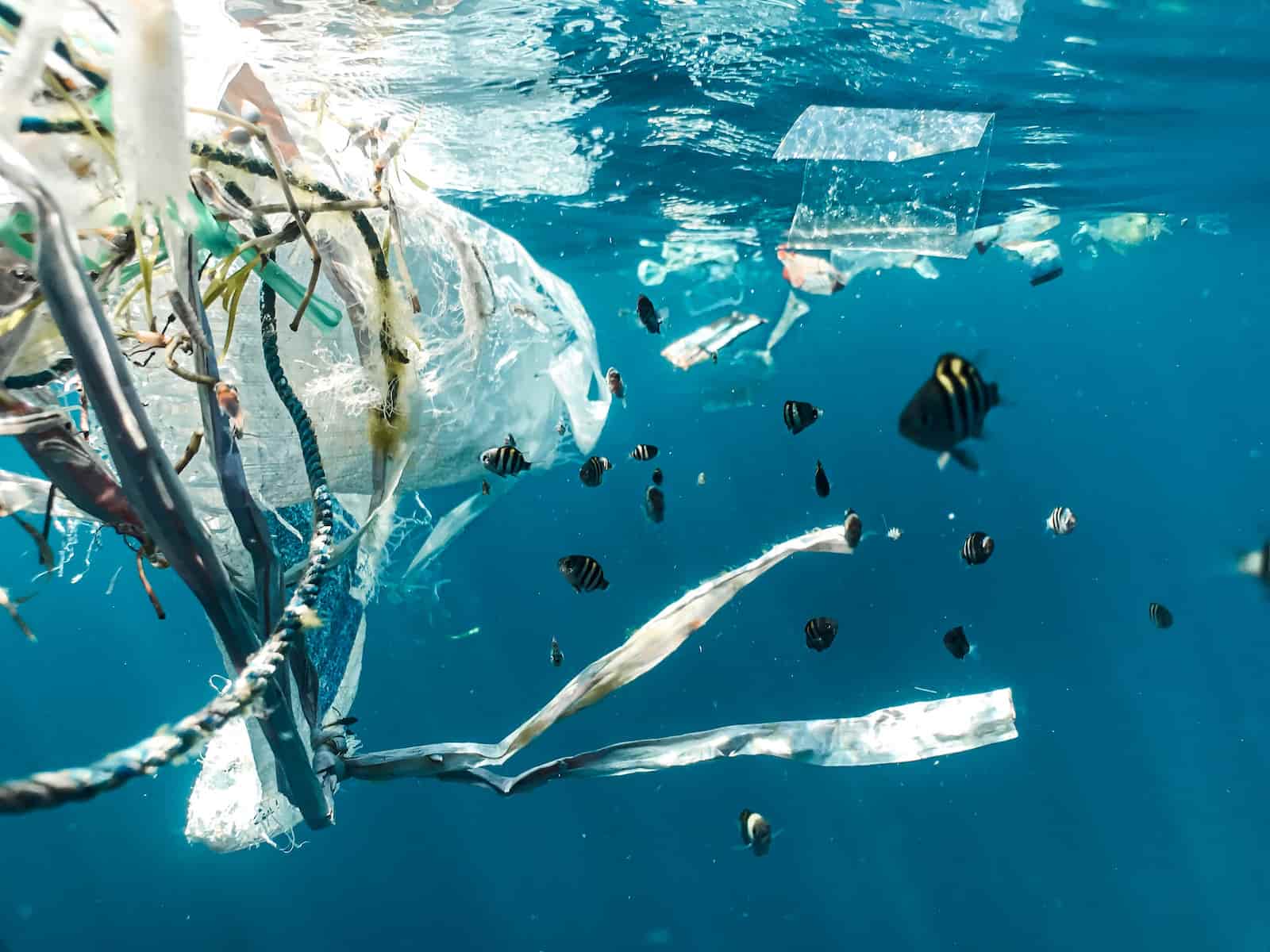 la pollution plastique des océans