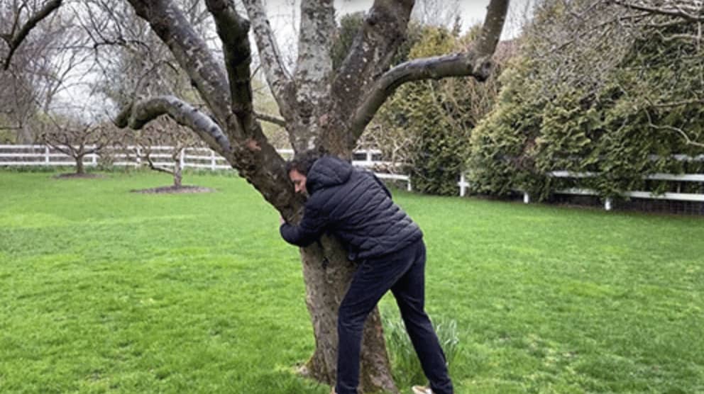 a man is giving a hug to a tree