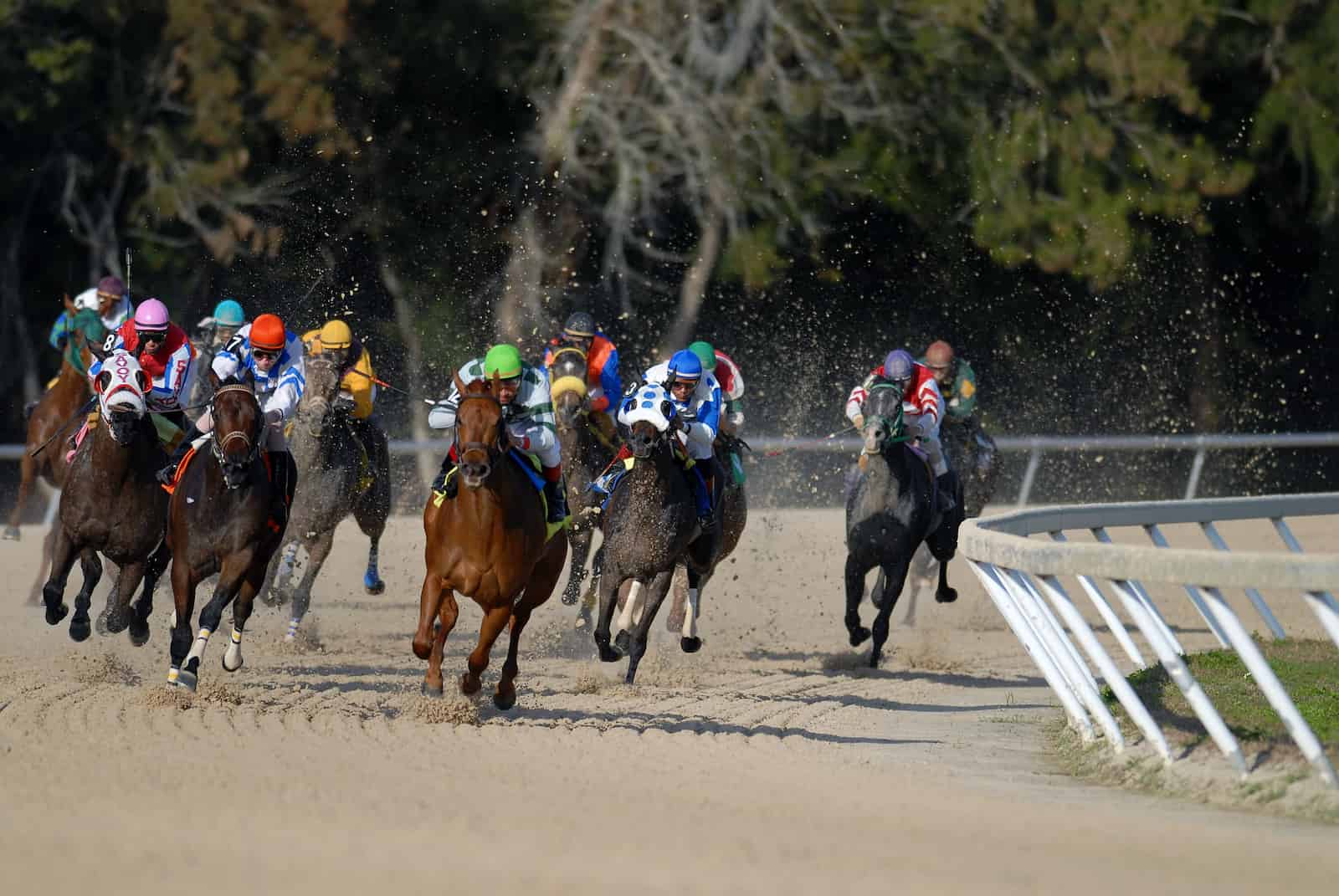 course de chevaux