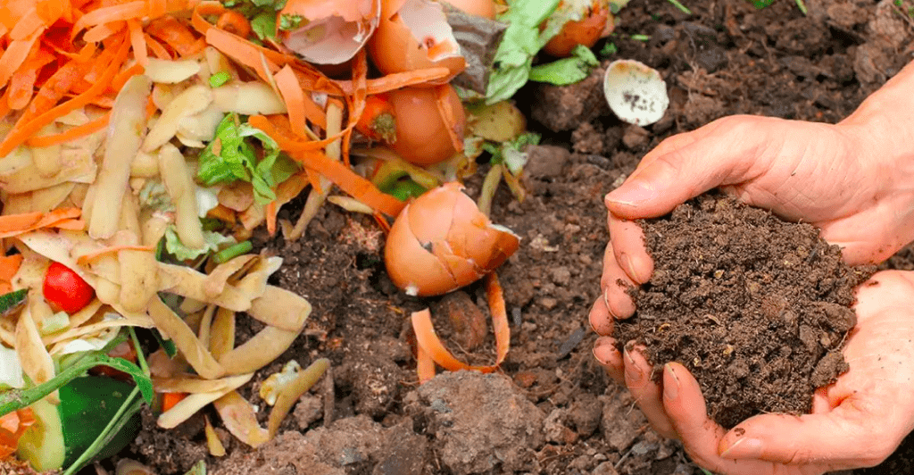 ways businesses can be eco-friendly