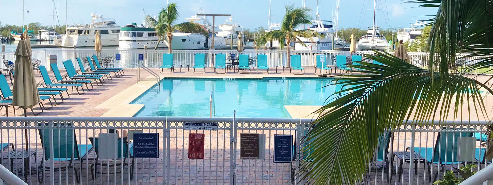 Stock Island Yacht Club & Marina Marina Spotlight Marinalife