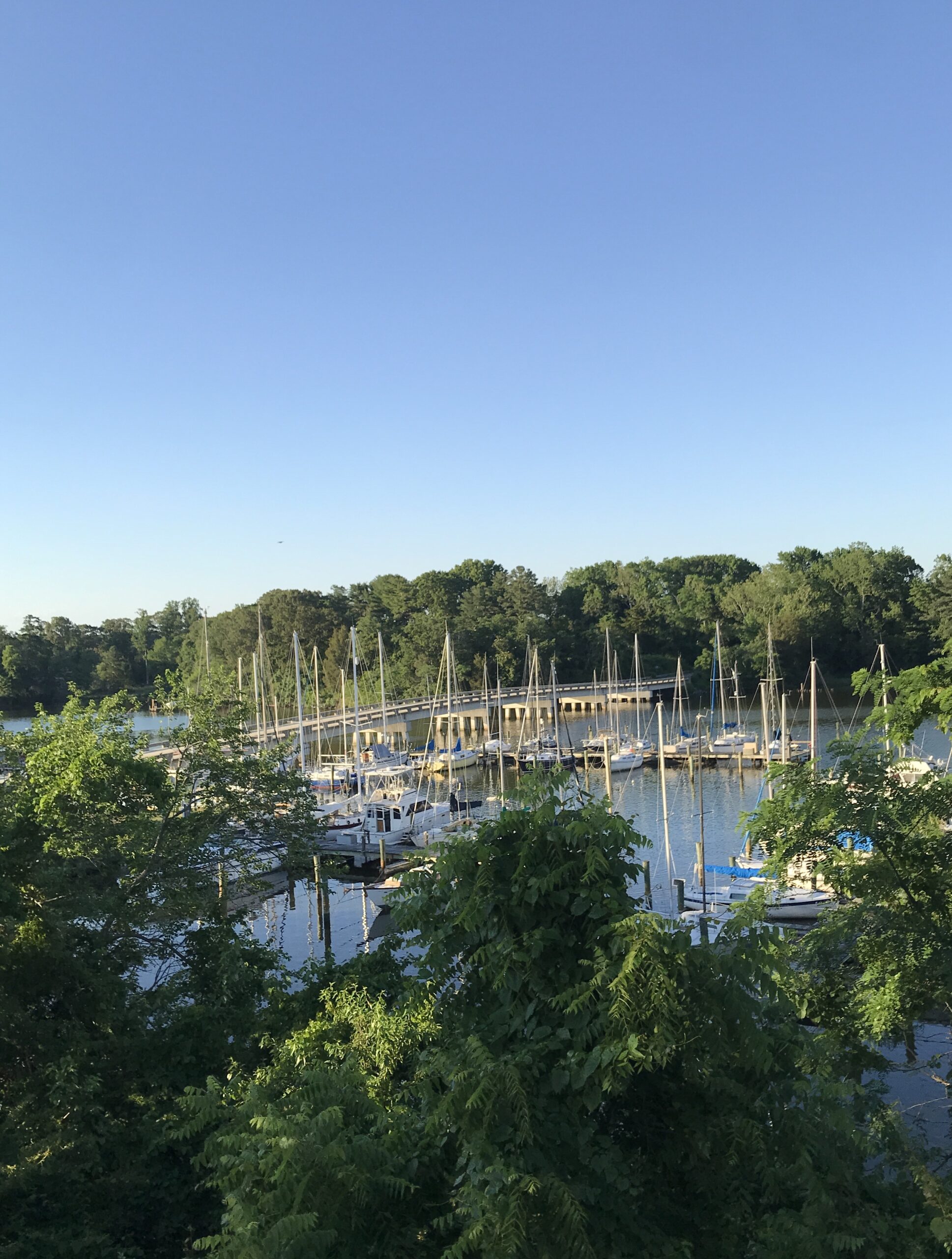 The Slips Kinsale, VA Marinalife