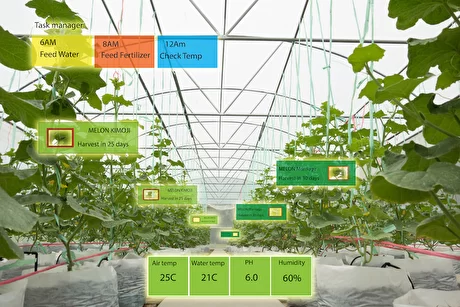 10 things about Digital Twins in agriculture