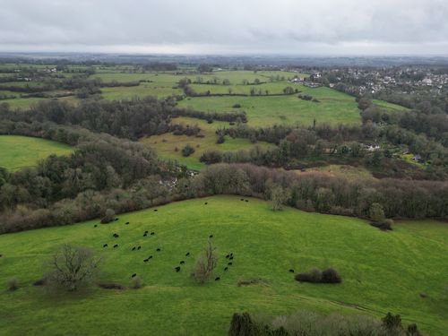 We are recruiting a Global Director