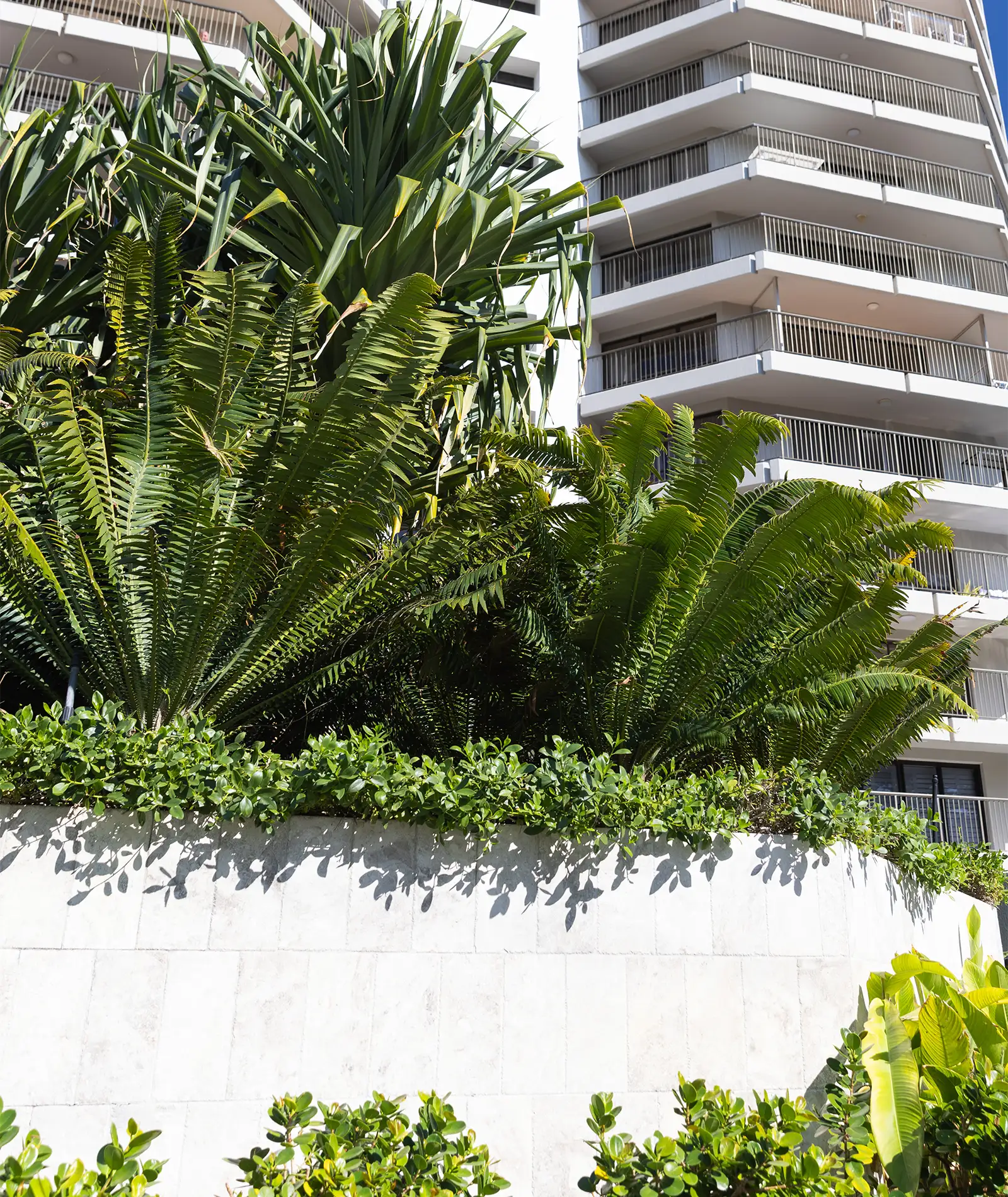 Burleigh Esplanade Brooke's Blooms