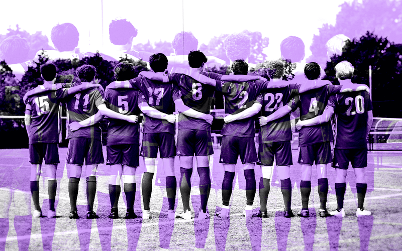 Campanha de feedback: entenda como a plataforma da Qulture.Rocks pode ...