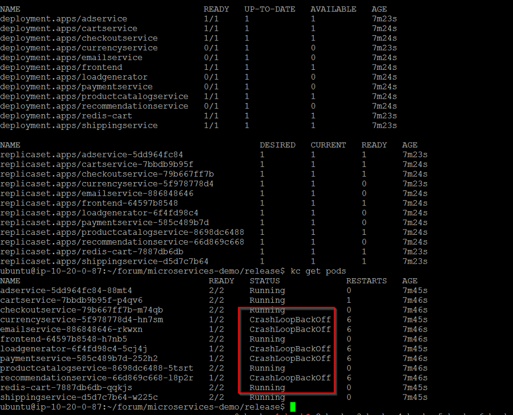Log of CrashLoopBackOff error which is a error faced commonly by kubernetes