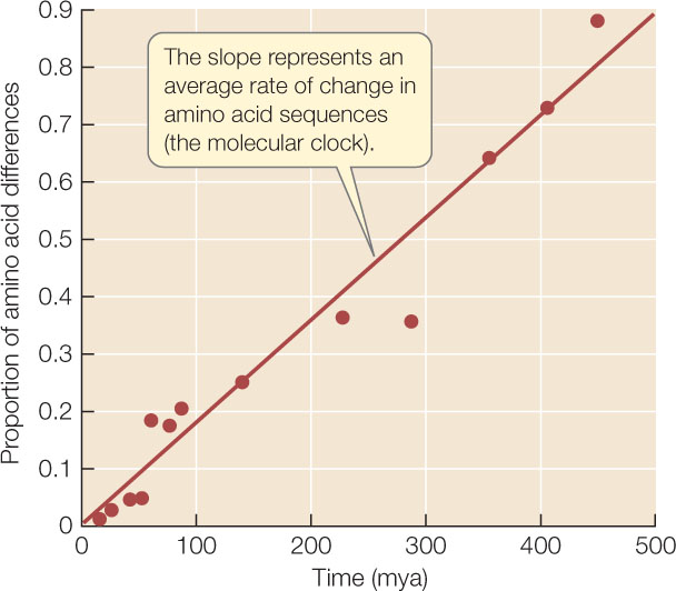 Molecular Clock Biology