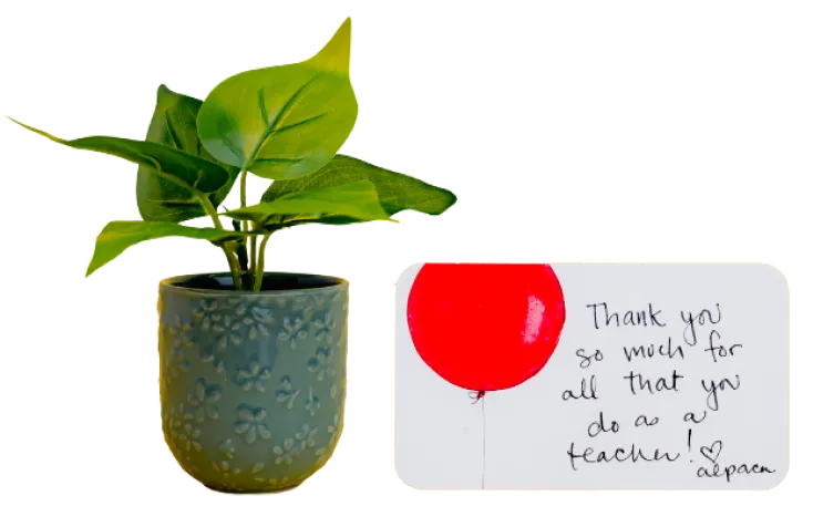 A photo of a plant and thank you card from Alpaca