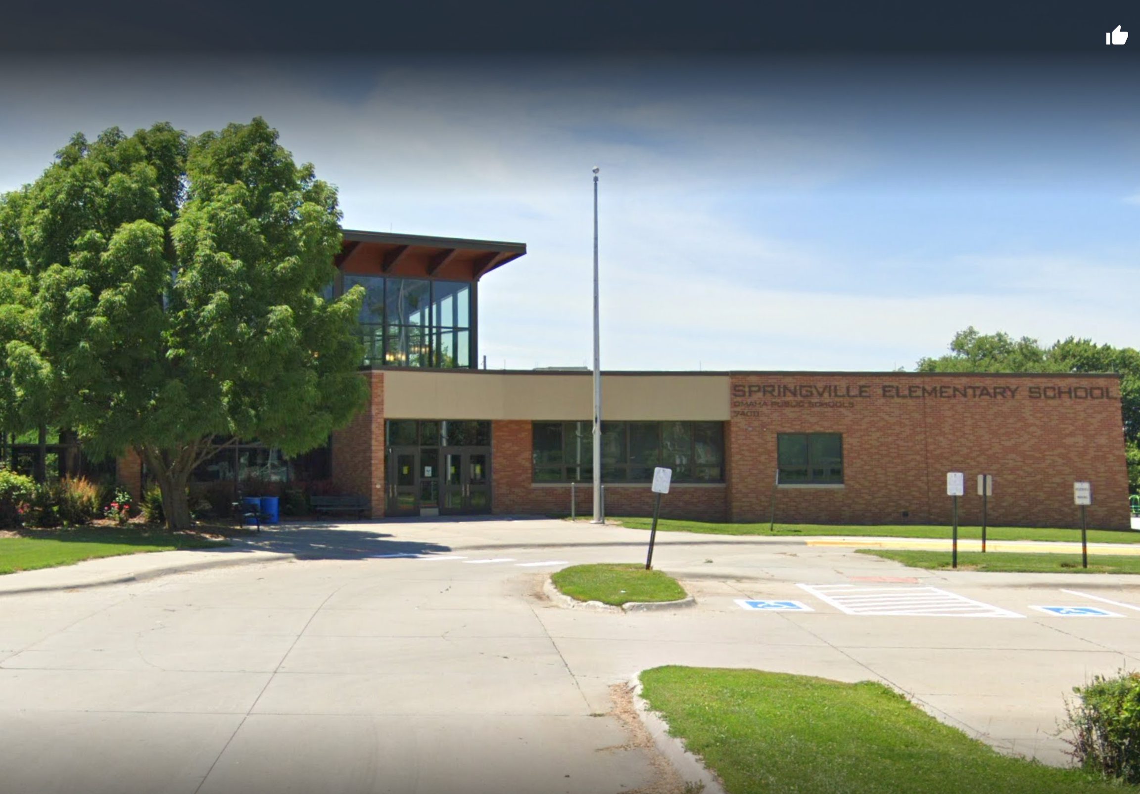 Springville Elementary School Alpaca