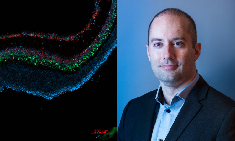 roman bauer computational biology work