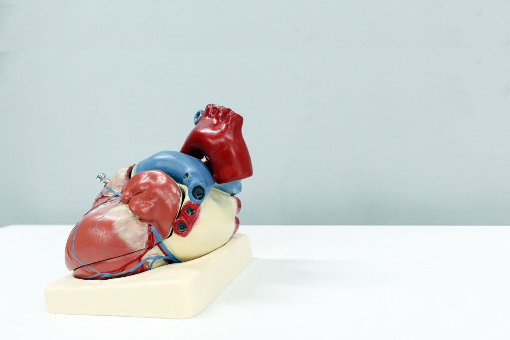 cryopreservation organ bank