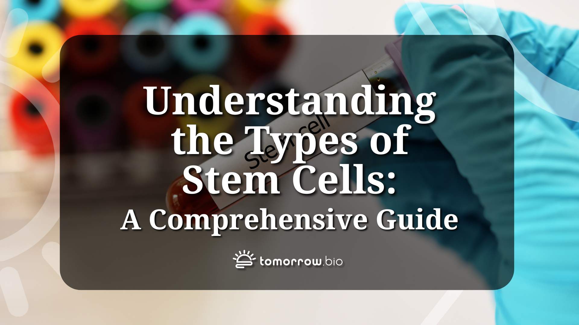 Understanding the Types of Stem Cells A Comprehensive Guide