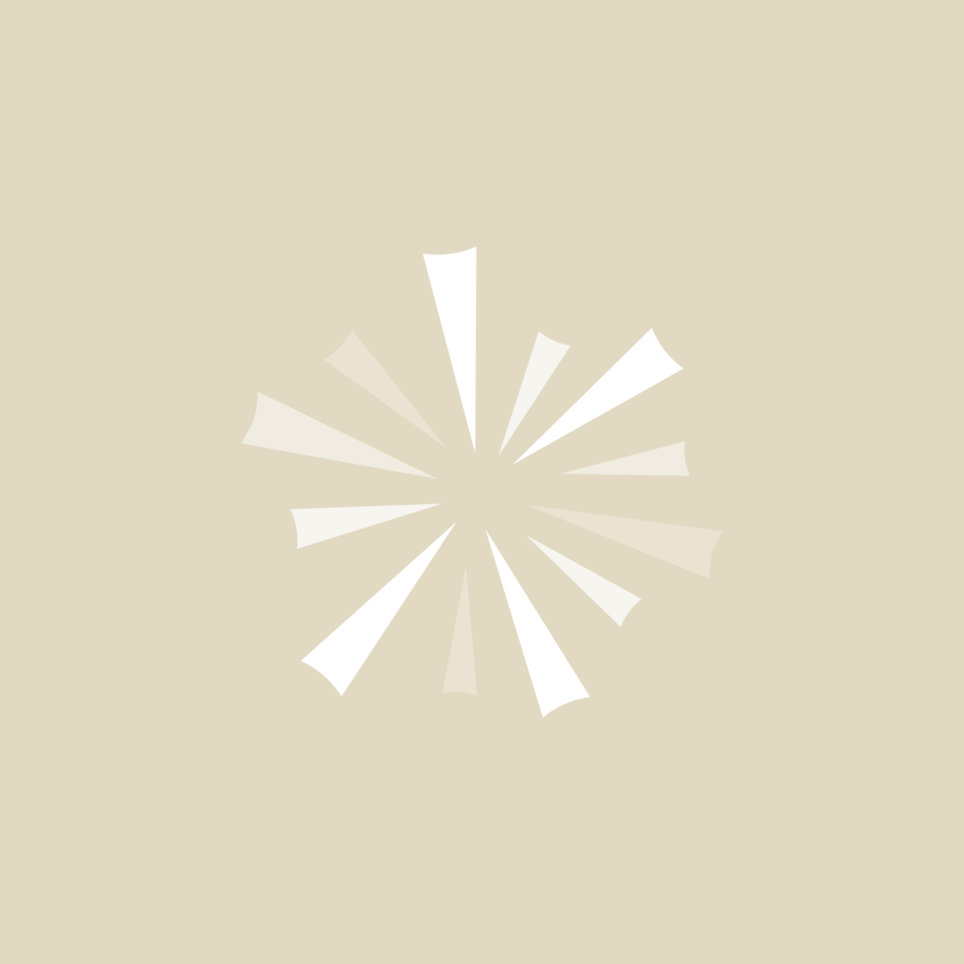 Christina Berube placeholder graphic