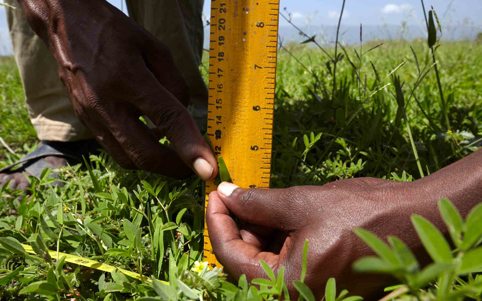 Communal Rangelands Protecting Against the Threats of Climate Change