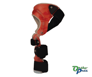 Dog Knee Brace - ACL