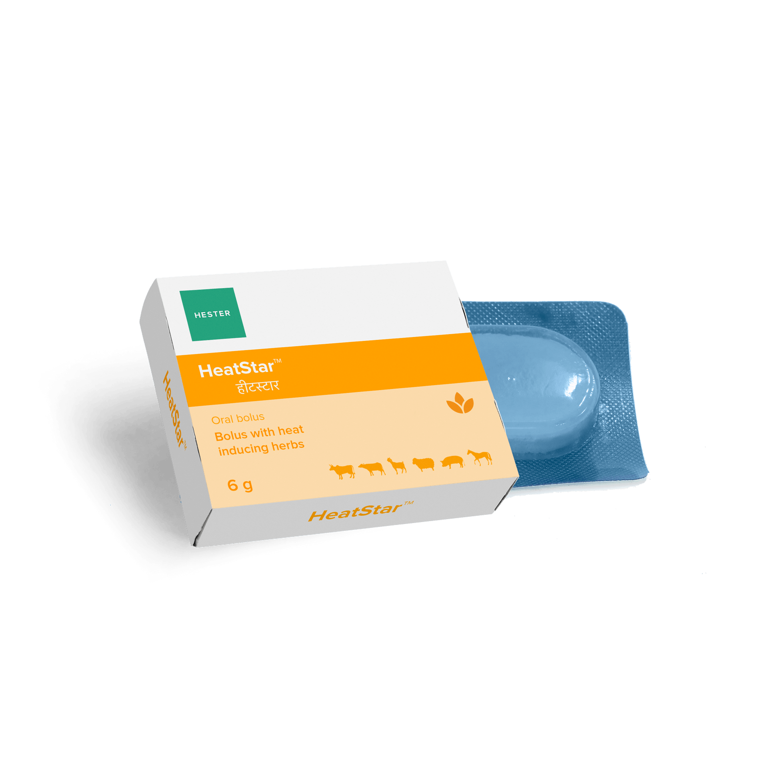 Hetastarch Injection Hester Biosciences Limited