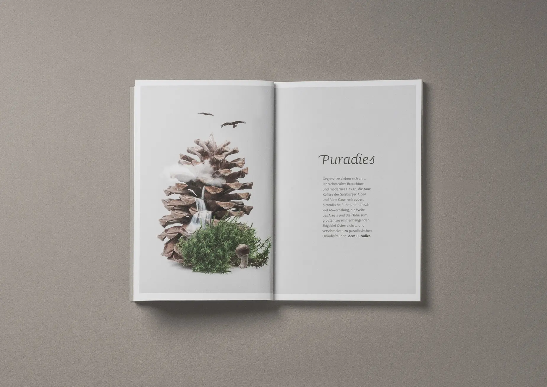 Puradies Reisebuch IWMB