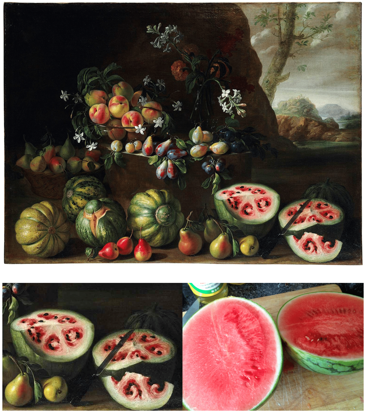 Have your cake and eat it too, so long as they’re GMO 5 Reasons GMO