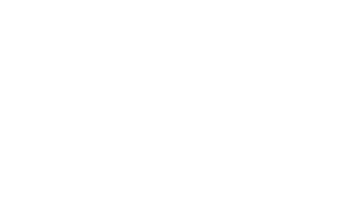DHI Logo