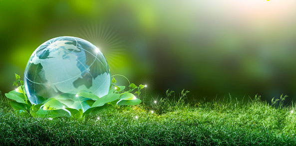 Best Ideas for Corporate Social Responsibility Initiatives - Environmentally Sustainable Activities