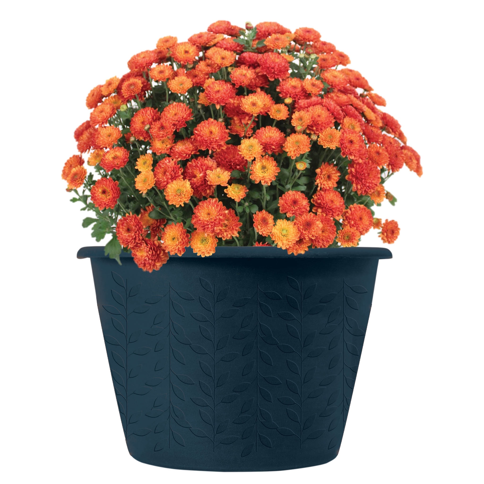 Impression Floral Containers AROO Company