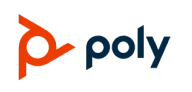 poly's logo
