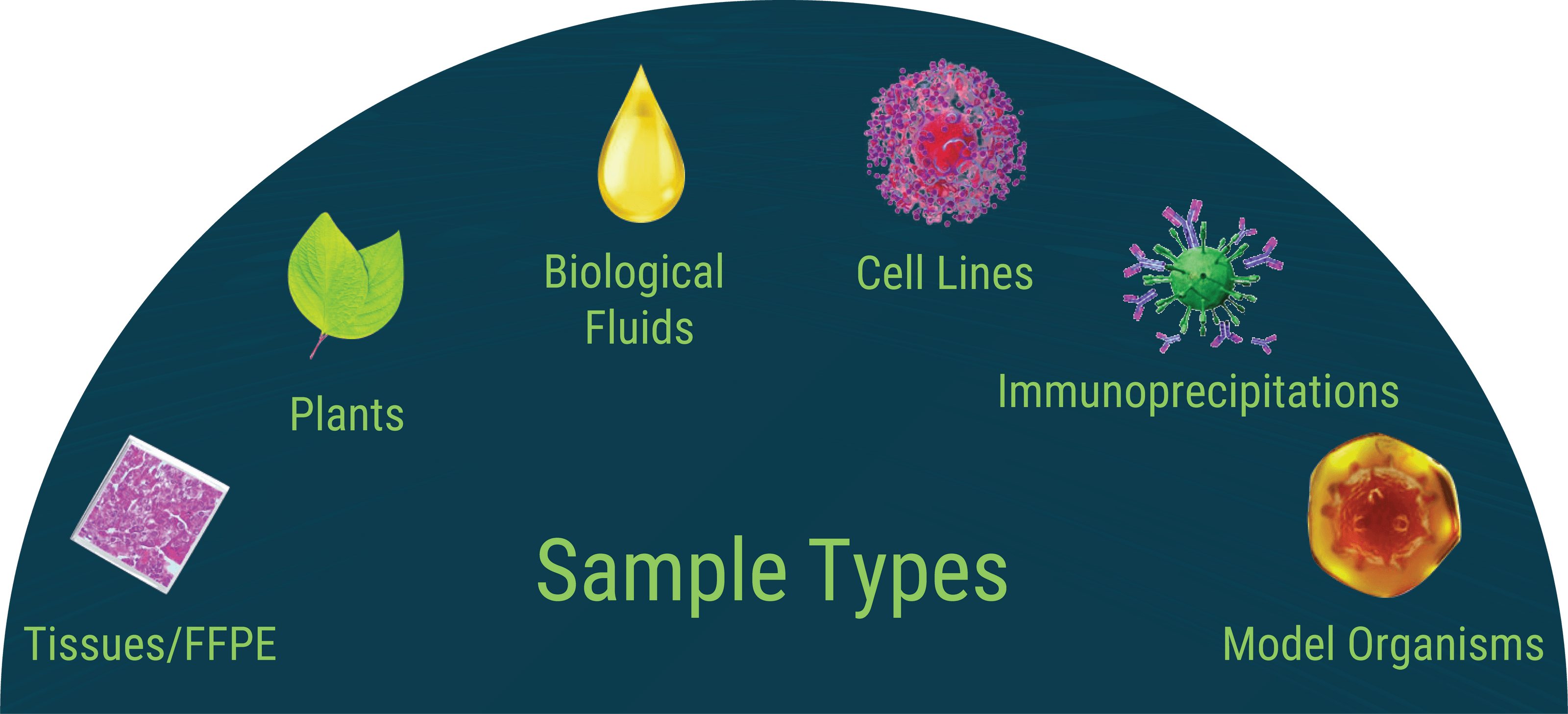 PreON - Automated sample preparation