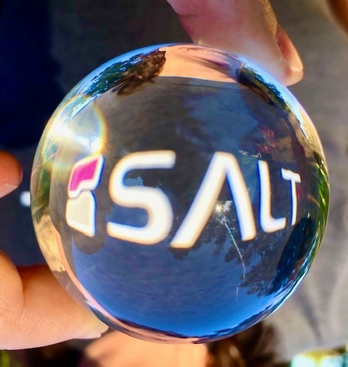 Careers at Salt Security
