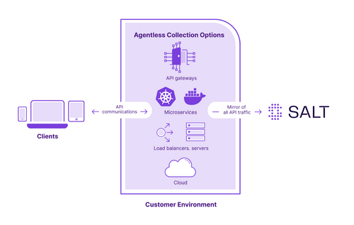 The Salt Security API Protection Platform