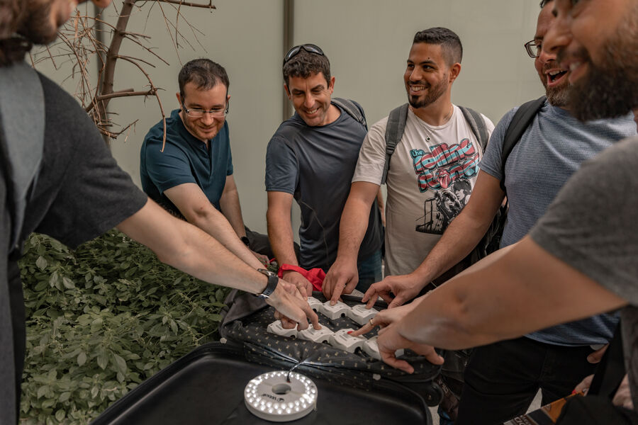 Careers at Salt Security