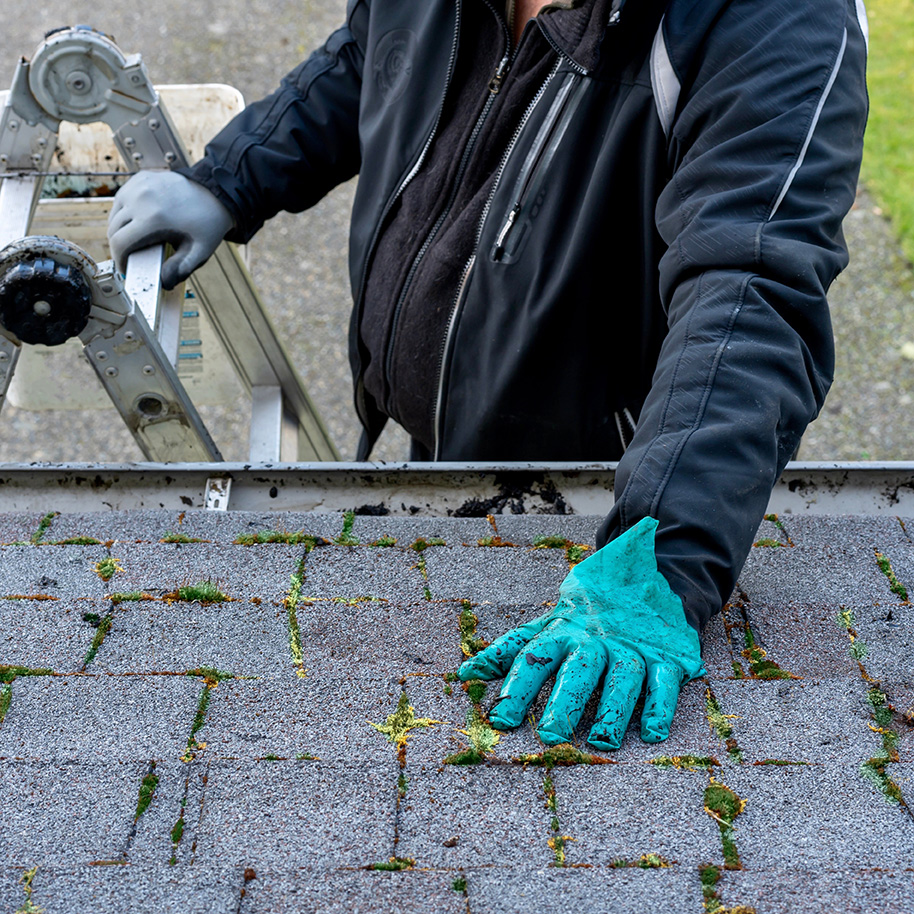 Roof Cleaning Yeppoon Sky High Roofing QLD