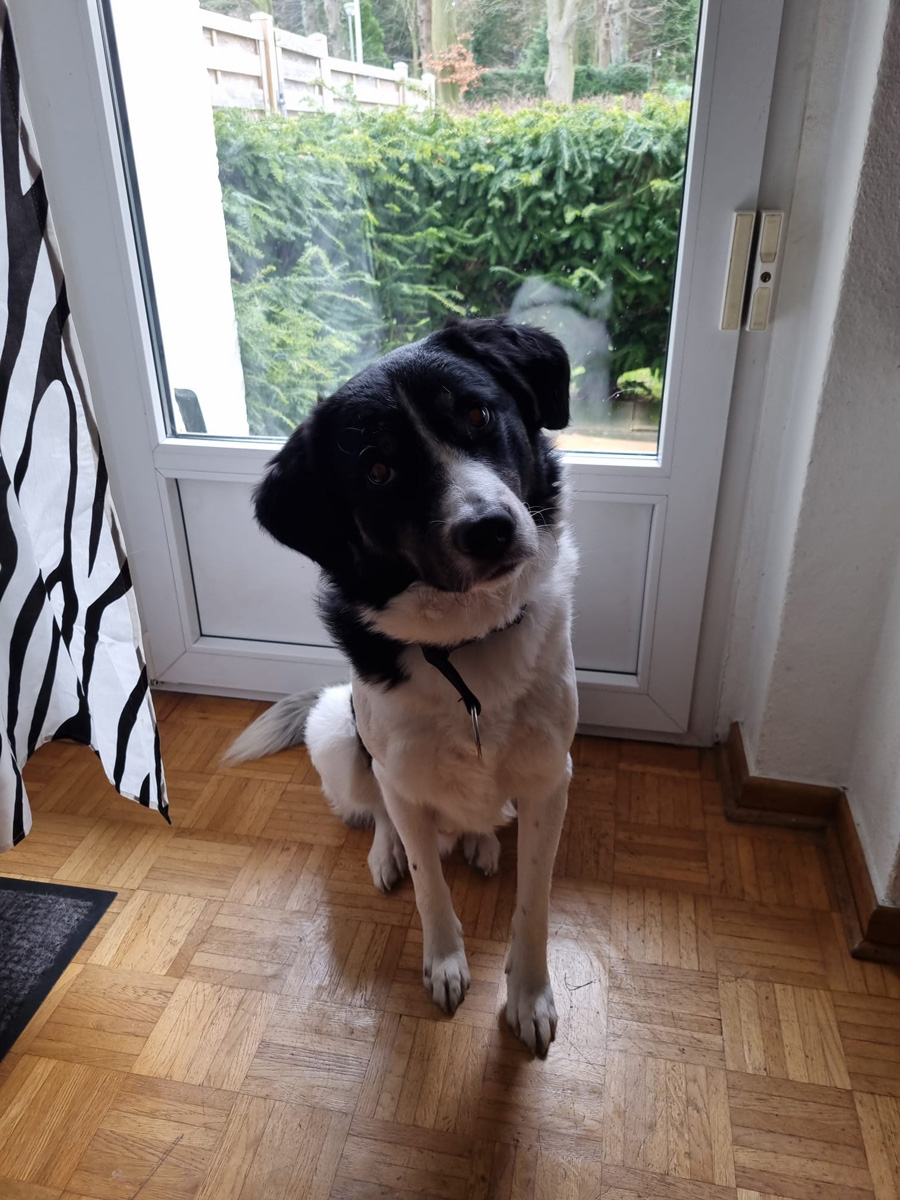 Sammy