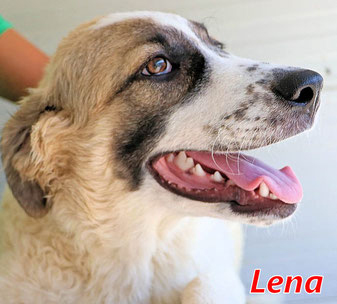 Lena