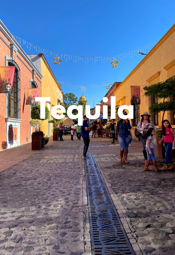 Tequila's Tour FreeGuides
