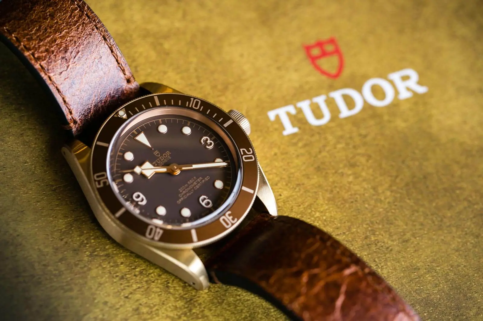 Tudor Black Bay Bronze The Bronze Age
