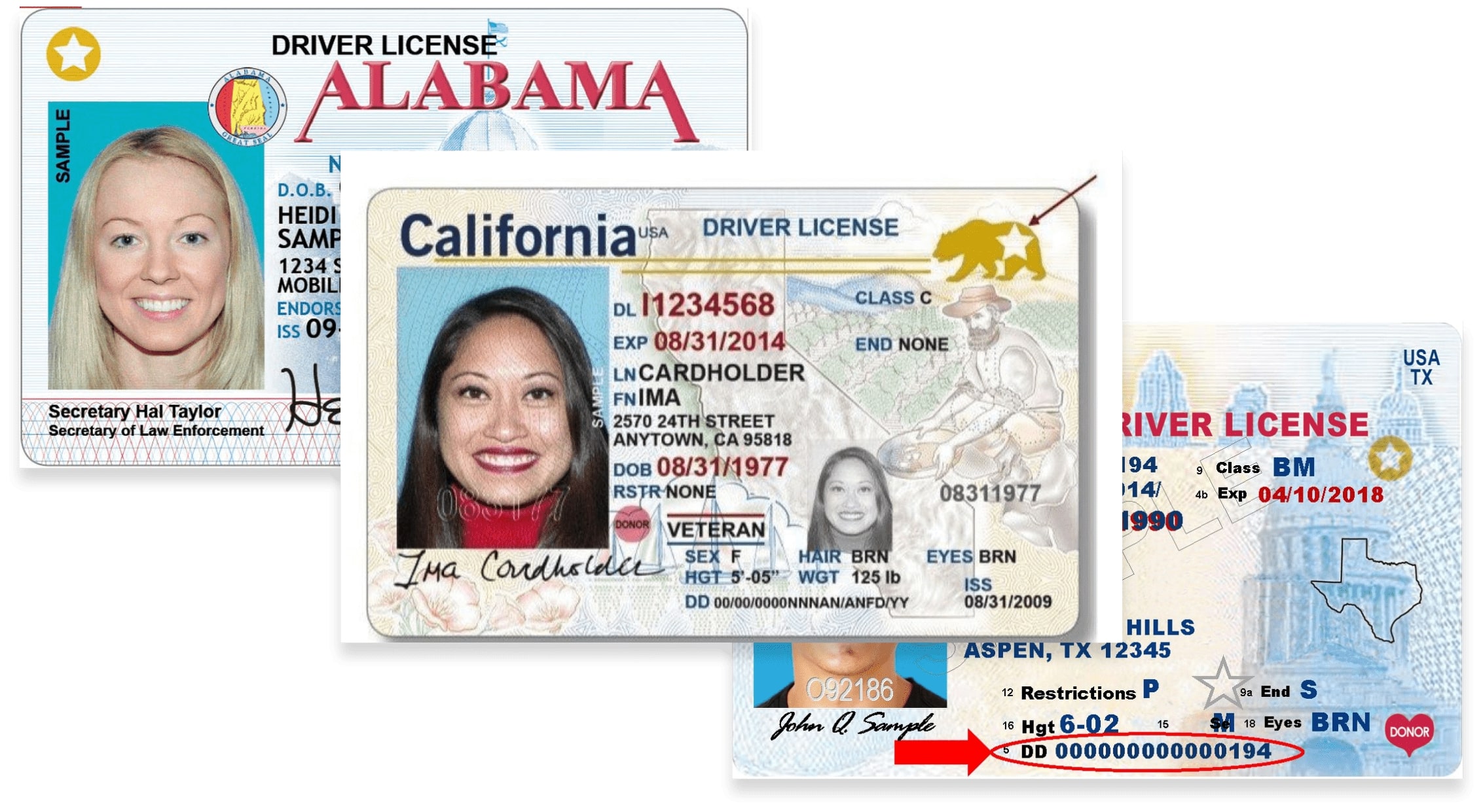 Driver's License