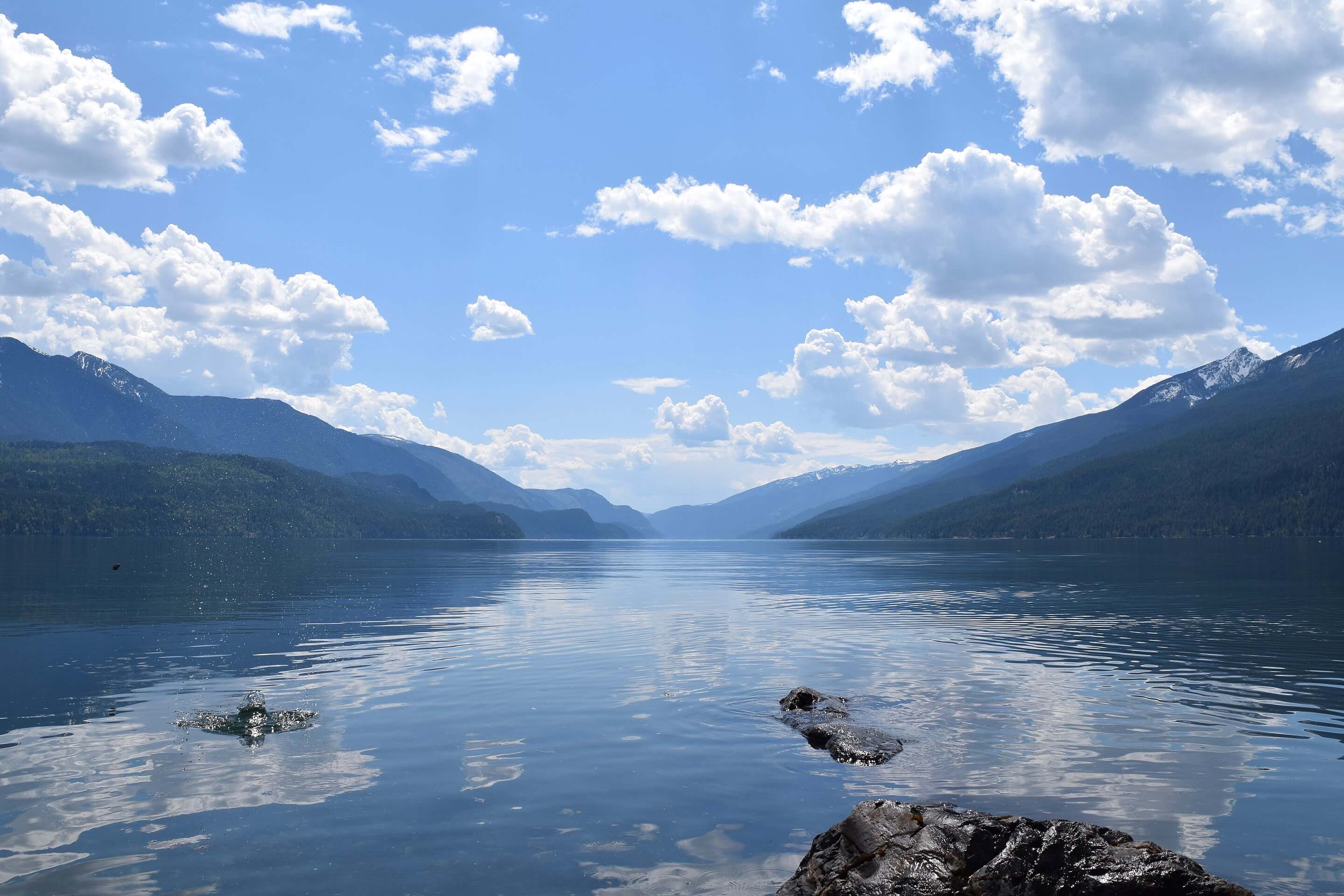 Slocan Valley Luke Mori Real Estate