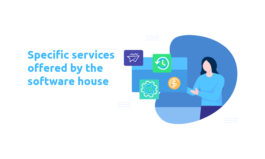 Specific services offered by the software house
