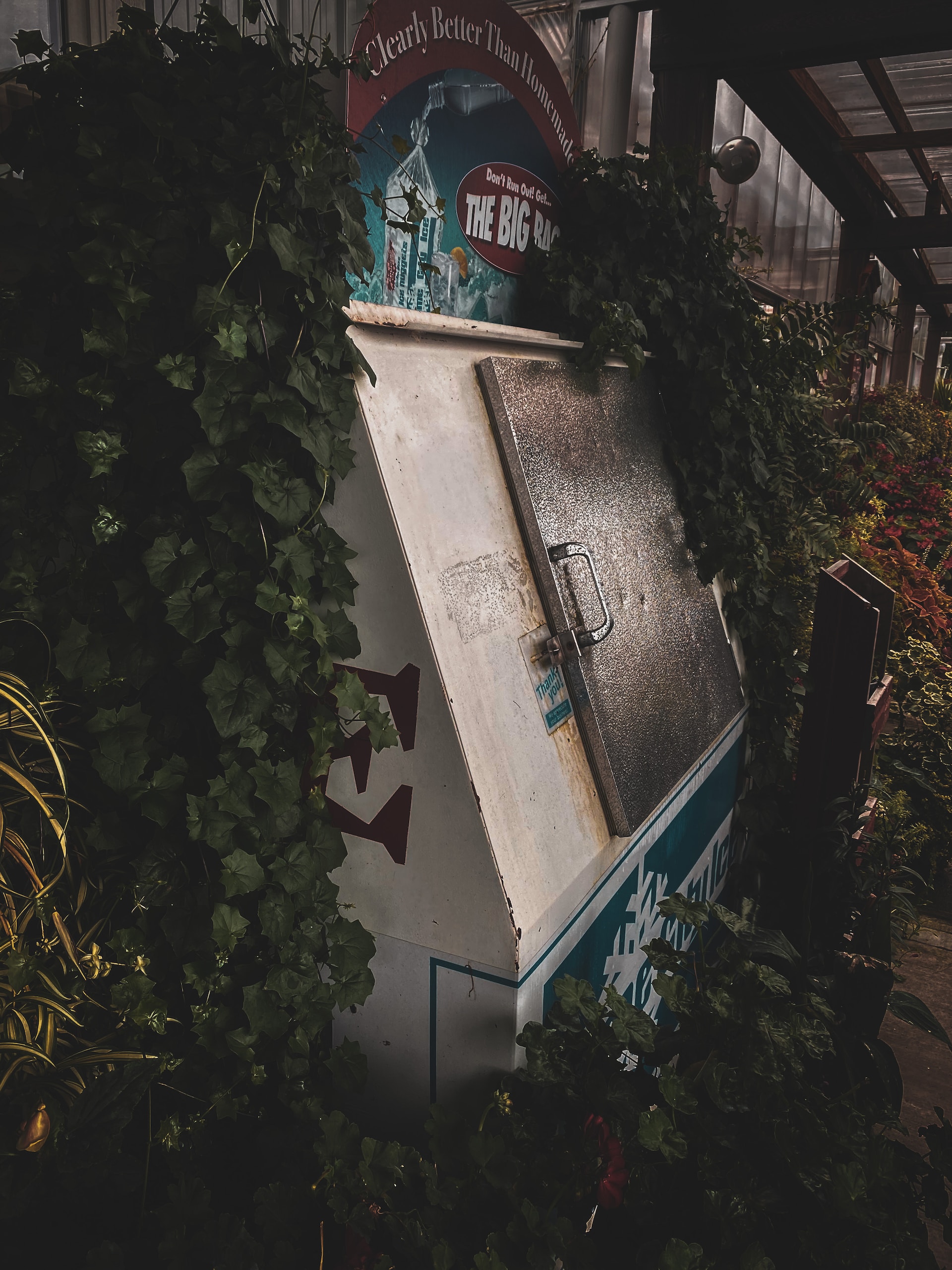 Tips and Tricks on How to Start an Ice Vending Machine Business