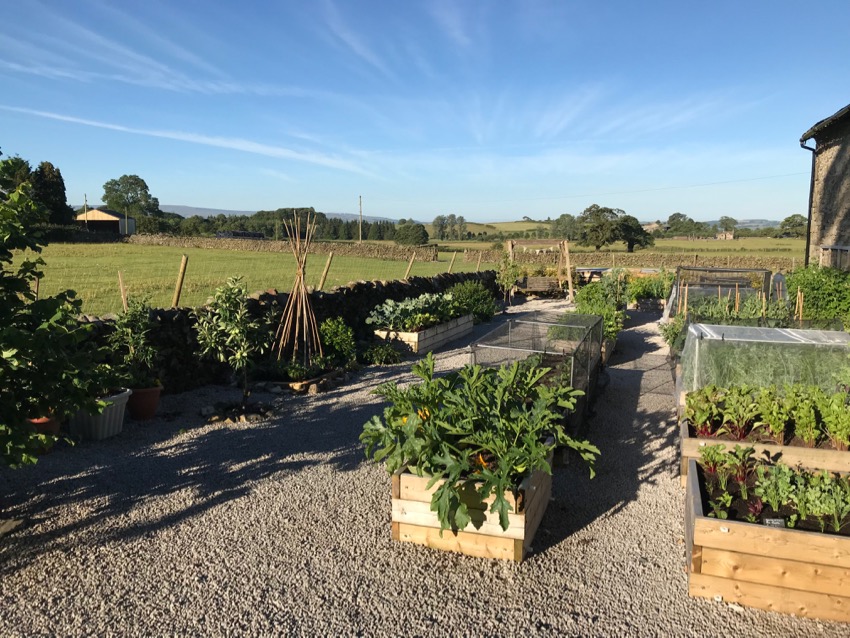 Paths how they feed your plants and how to look after them