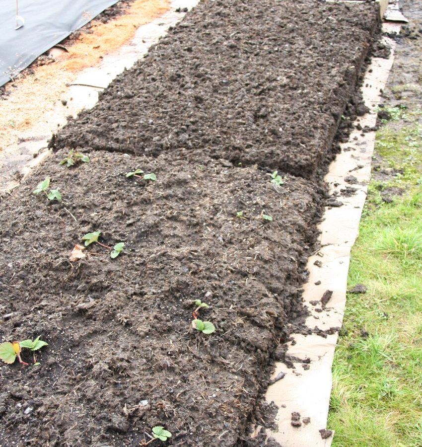 What compost offers, when to apply and amounts needed