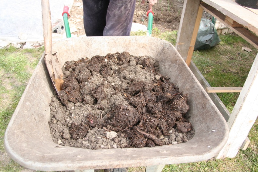 What compost offers, when to apply and amounts needed