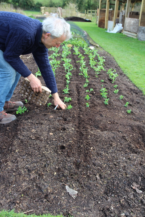 The how and why of spacing