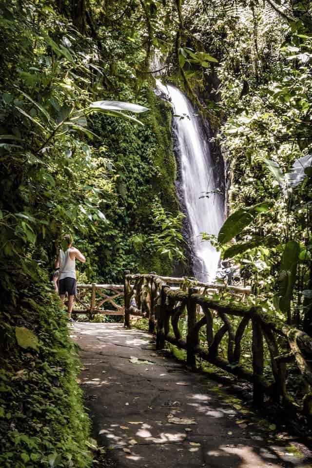 Hiking in Costa Rica Top 4 Trails to Explore (+Pictures & Tips)!