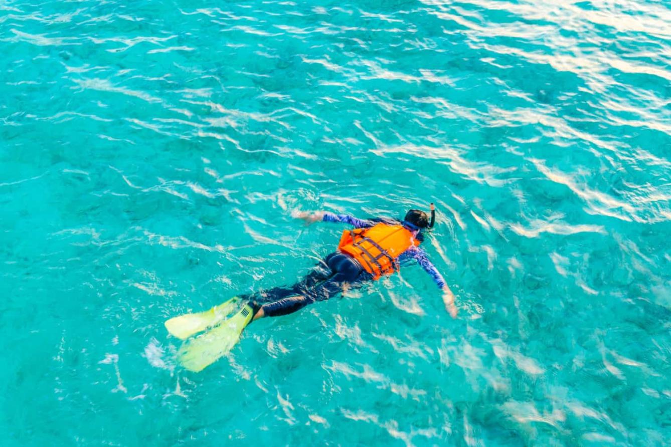 9 Best Spots for Snorkeling in Orlando You Can't Miss!