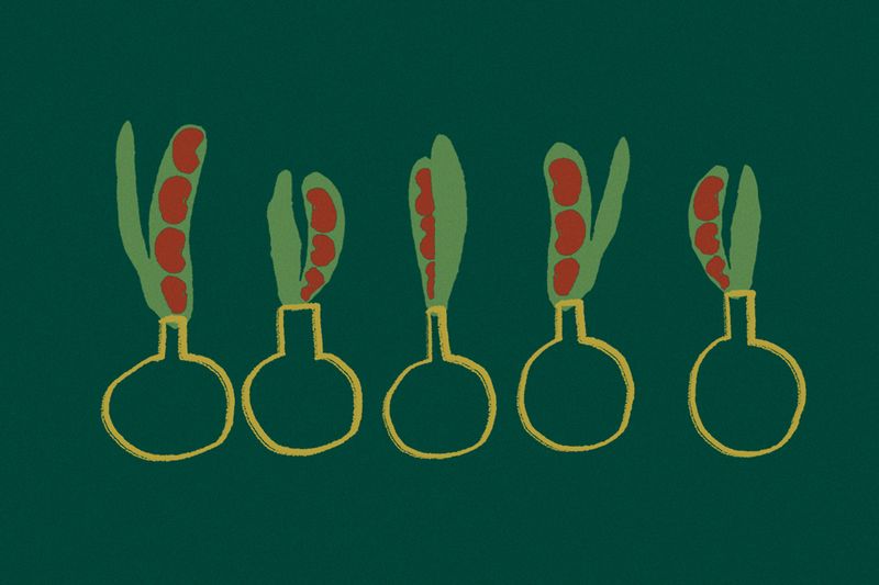 Lectin Definition, Applications, & Industry Uses